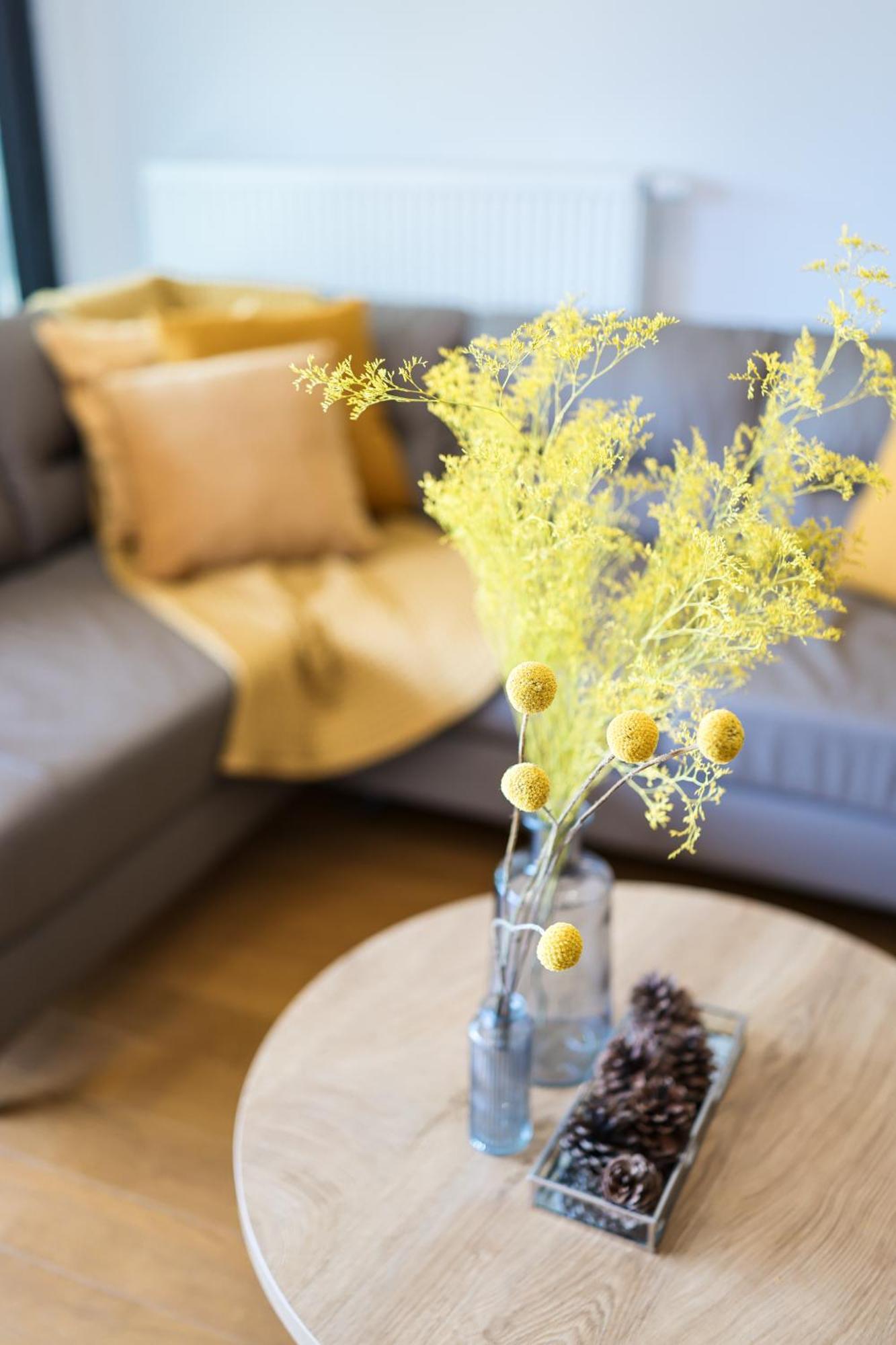Apartmán Allure Zadar